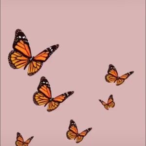 Meet your Posher, Molly